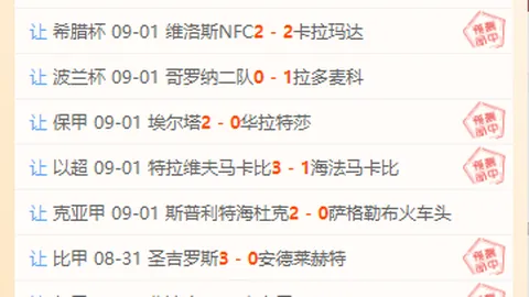 荣耀电竞盛典，熊猫体育，落幕，新游预约潮涌